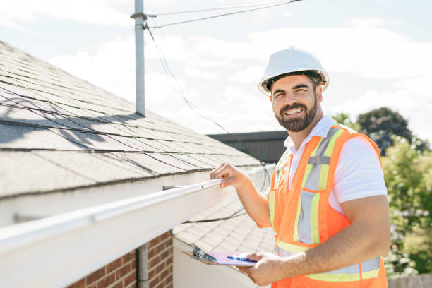 Best Roof Moss and Algae Removal  in Sterling, KS